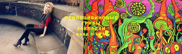 шишки Алзамай