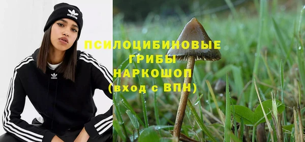 шишки Алзамай